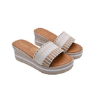 CAMARY 810 ROMA
