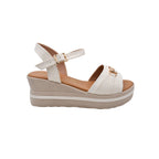 CAMARY 786 ROMA
