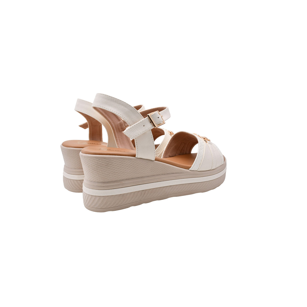 CAMARY 786 ROMA