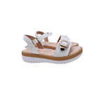 CAMARY C-309 VIVIS