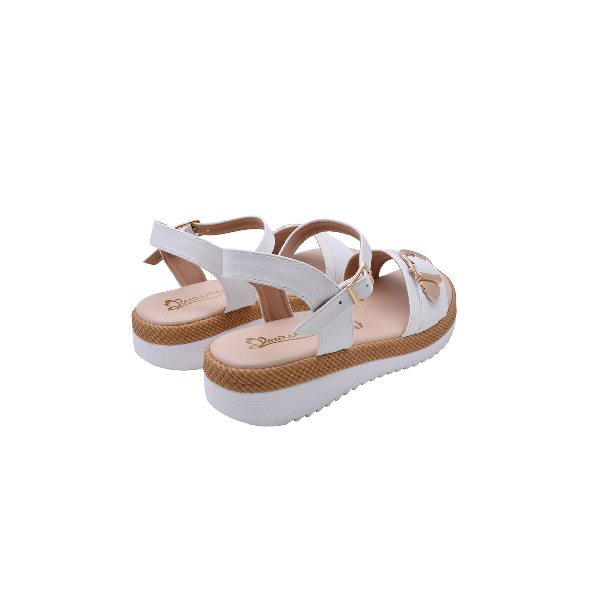 CAMARY C-309 VIVIS