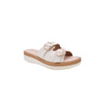 CAMARY 802 VIVIS
