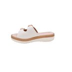 CAMARY 802 VIVIS