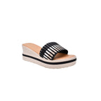 CAMARY 810 ROMA