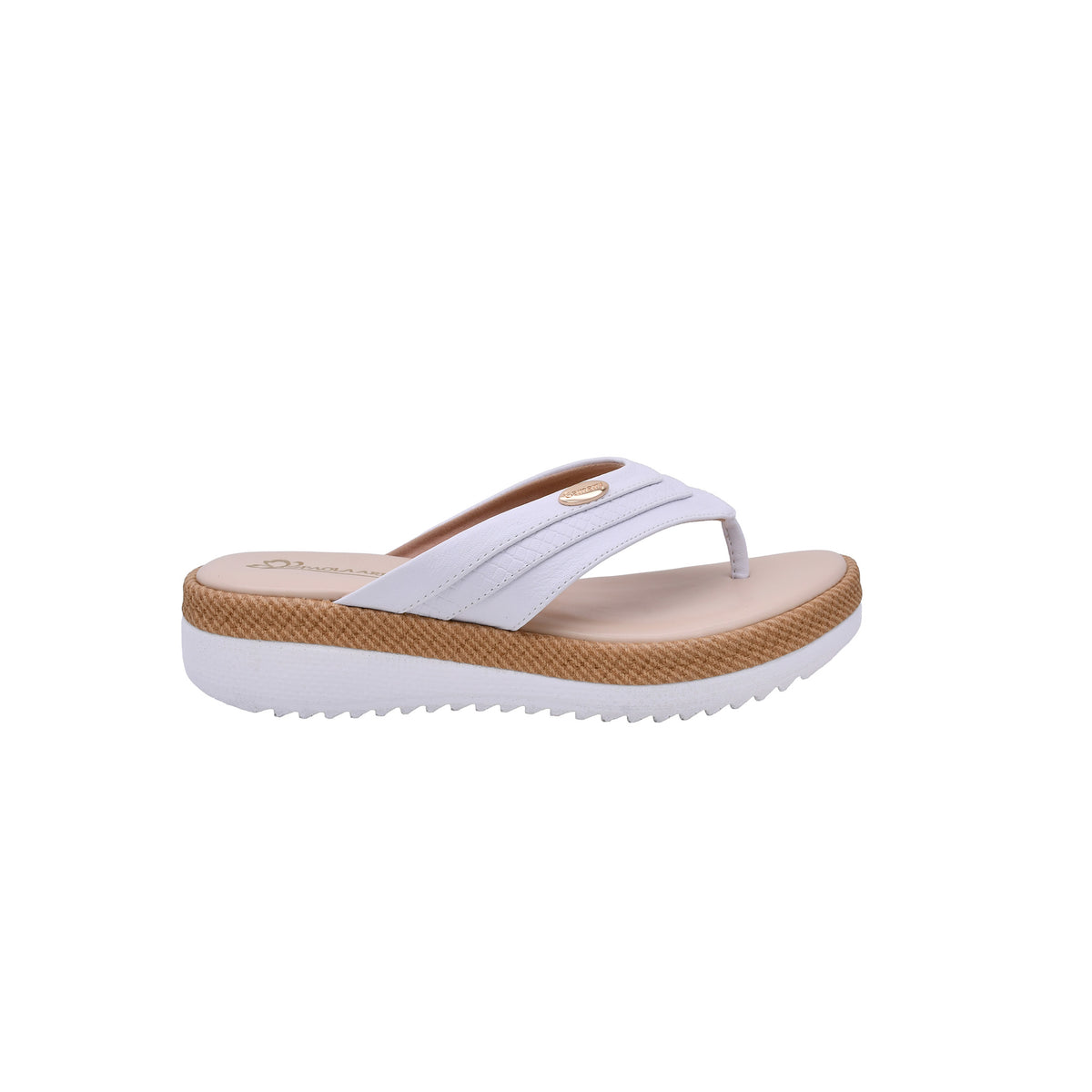 CAMARY 803 VIVIS