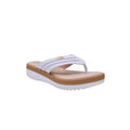 CAMARY 803 VIVIS