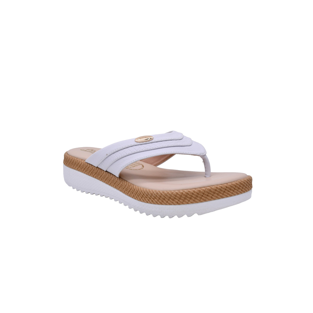 CAMARY 803 VIVIS