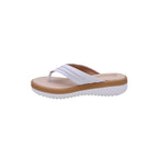 CAMARY 803 VIVIS