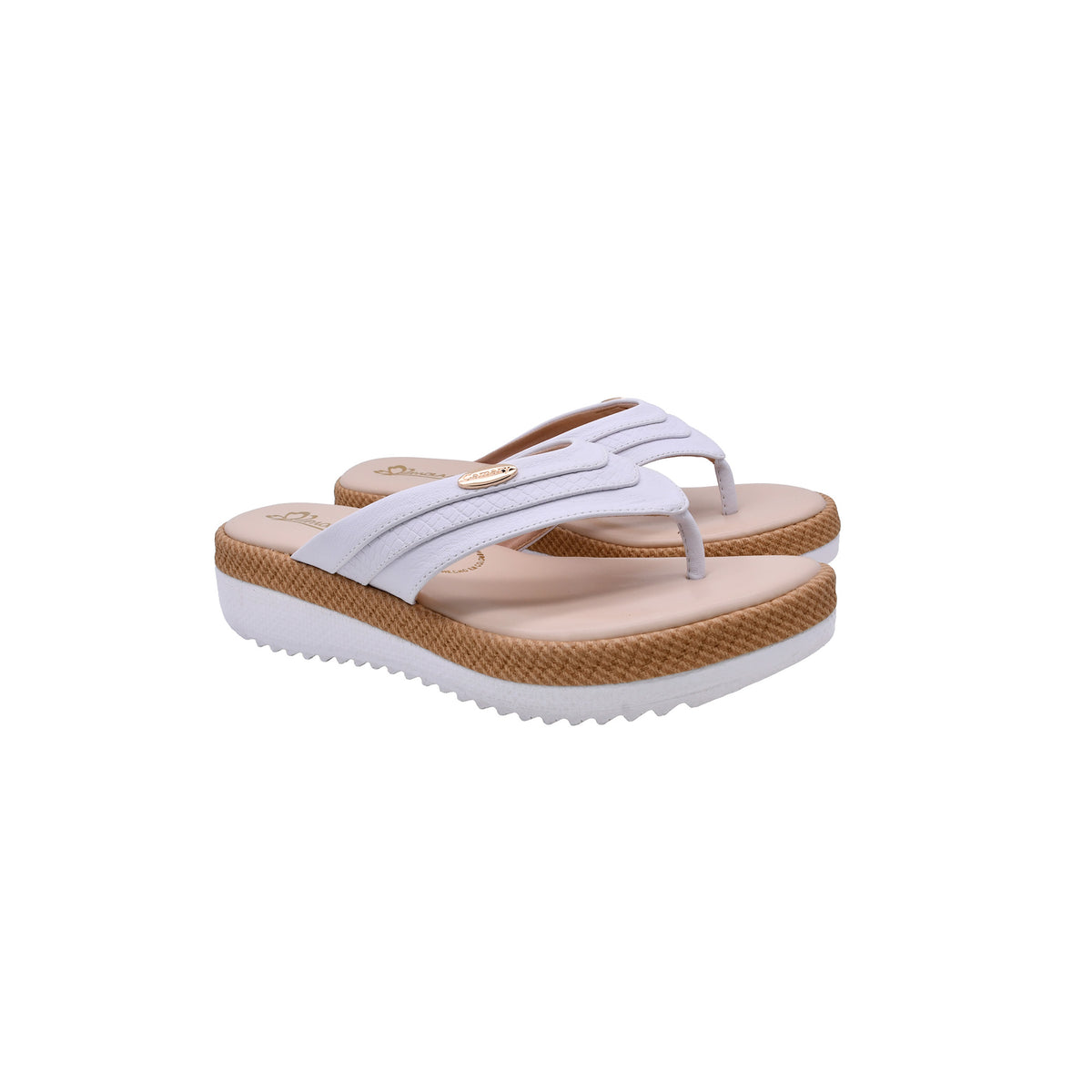 CAMARY 803 VIVIS