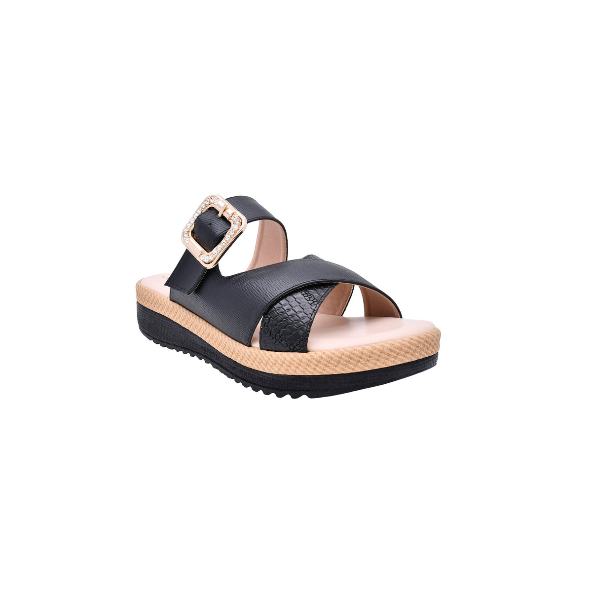 CAMARY C-310 VIVIS