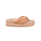 BEALEXS 2508
