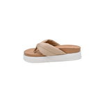BEALEXS 2508 BEILLYS