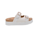 BEALEXS 2178