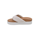 BEALEXS 2508