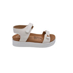 BEALEXS 2152