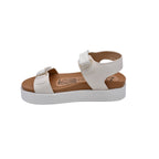 BEALEXS 2152