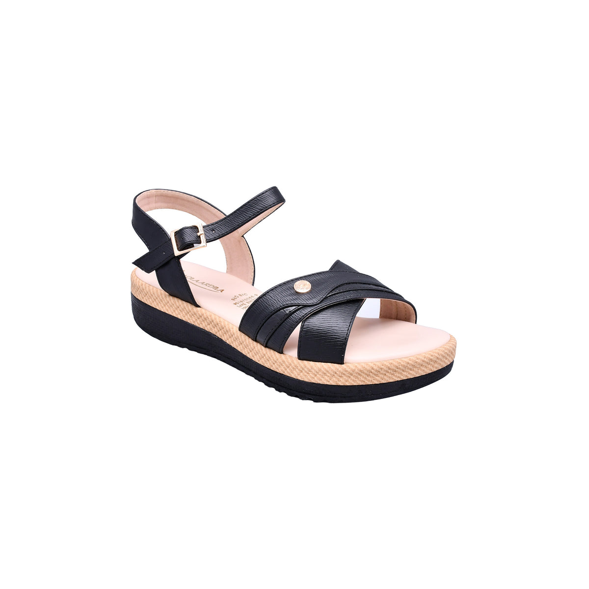 CAMARY 816 VIVIS