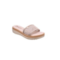 CAMARY 808 VIVIS