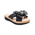 CAMARY 804 VIVIS