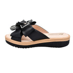 CAMARY 804 VIVIS