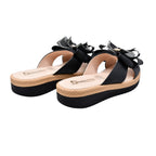 CAMARY 804 VIVIS