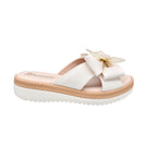 CAMARY 804 VIVIS