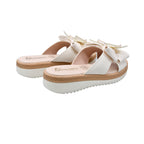 CAMARY 804 VIVIS