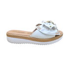 CAMARY VIVIS 779