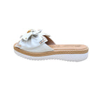CAMARY VIVIS 779