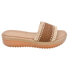 CAMARY VIVIS 774