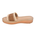 CAMARY VIVIS 774