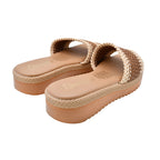 CAMARY VIVIS 774