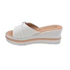 CAMARY VIVIS 765