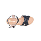 CAMARY VIVIS 776