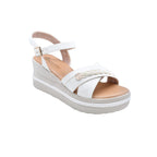 CAMARY VIVIS 776